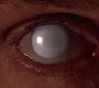 521Smallville0294.jpg