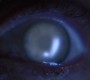 521Smallville0786.jpg