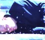 521Smallville1002.jpg