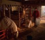 522Smallville0005.jpg