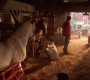 522Smallville0006.jpg