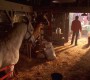 522Smallville0007.jpg