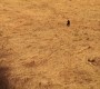 522Smallville0046.jpg
