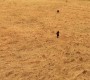 522Smallville0047.jpg