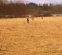 522Smallville0049.jpg
