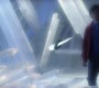 522Smallville0272.jpg