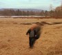 522Smallville0426.jpg