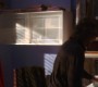 522Smallville0596.jpg