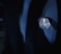 522Smallville0973.jpg