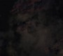 522Smallville1199.jpg