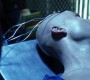 602Smallville0632.jpg