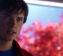 605Smallville0608.jpg