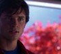 605Smallville0610.jpg