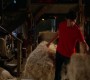 605Smallville0982.jpg