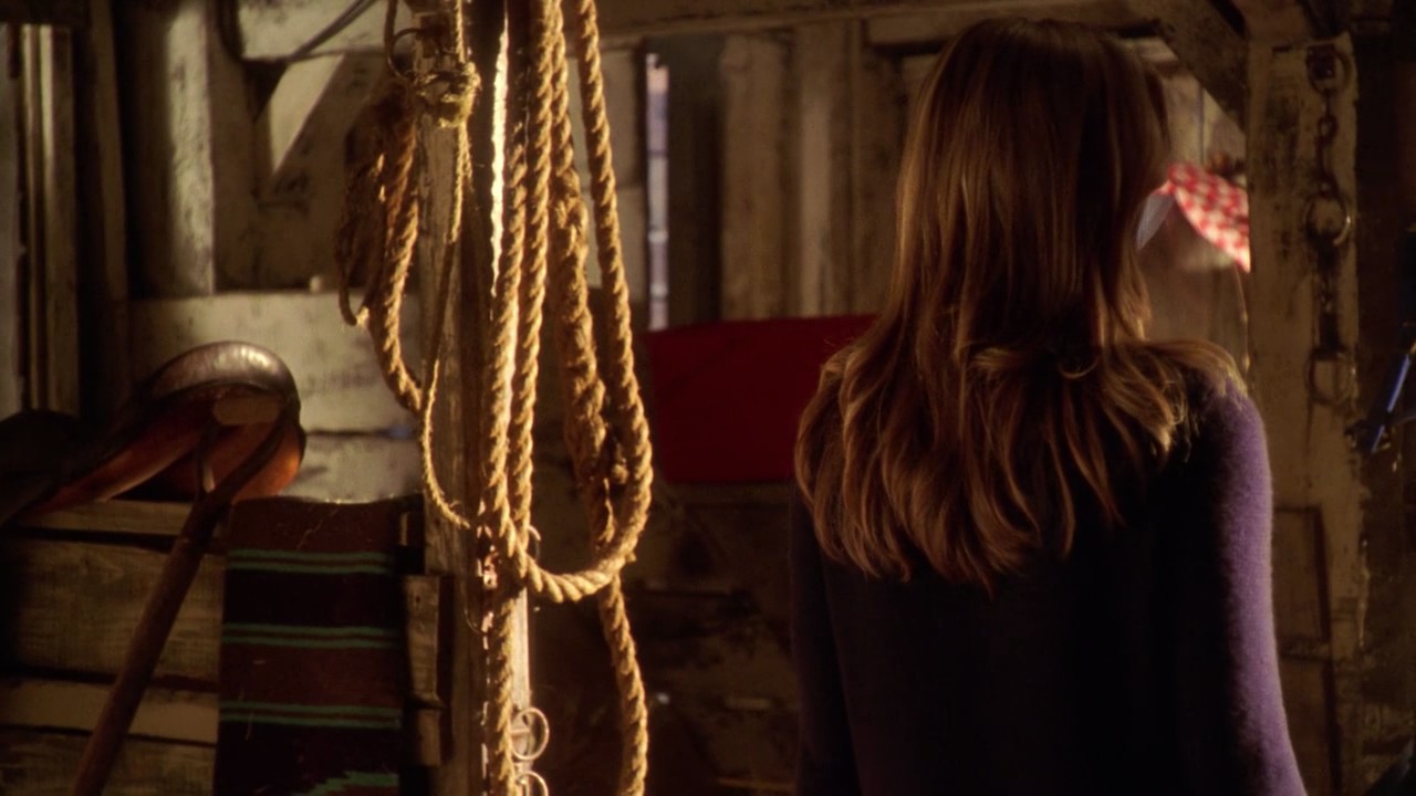 606Smallville0419.jpg