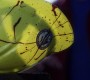 608Smallville0642.jpg