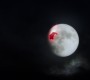 608Smallville0936.jpg