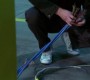 608Smallville0943.jpg