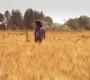 609Smallville0848.jpg