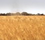 609Smallville0851.jpg