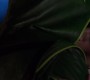 610Smallville0718.jpg