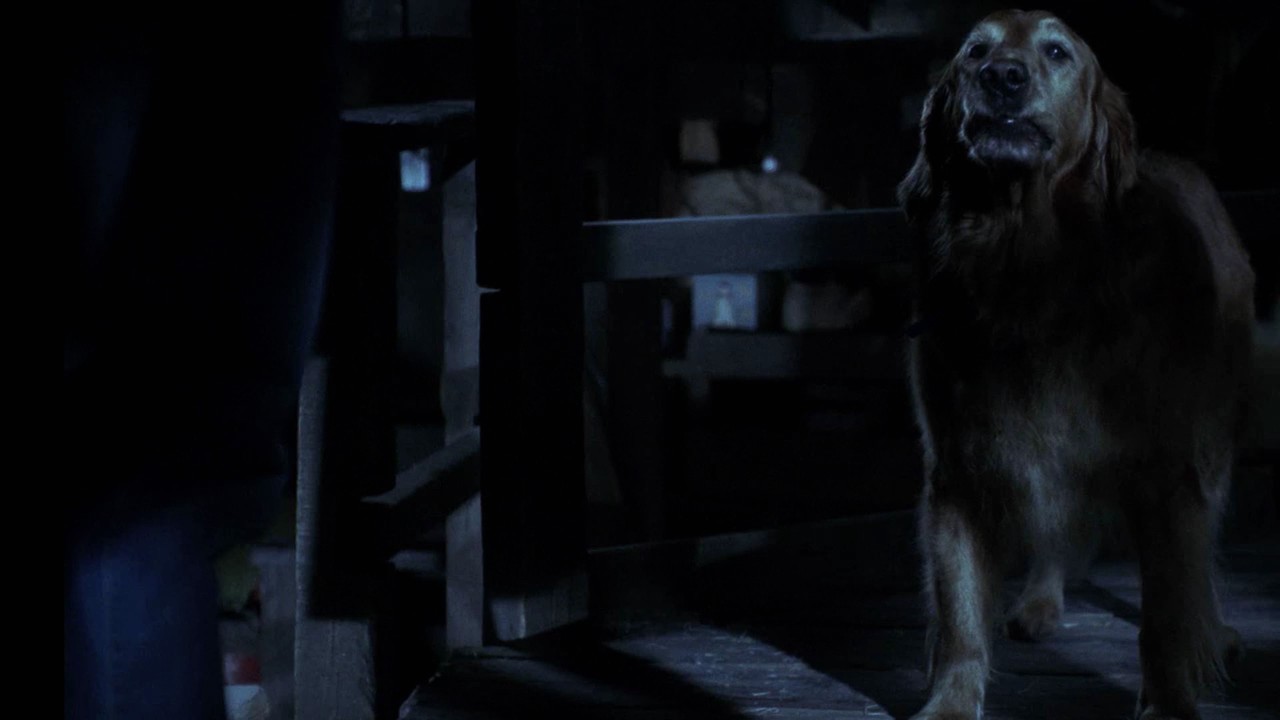 612Smallville0018.jpg