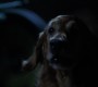 612Smallville0010.jpg