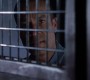 612Smallville0739.jpg