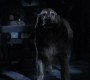 612Smallville0893.jpg