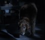 612Smallville0897.jpg