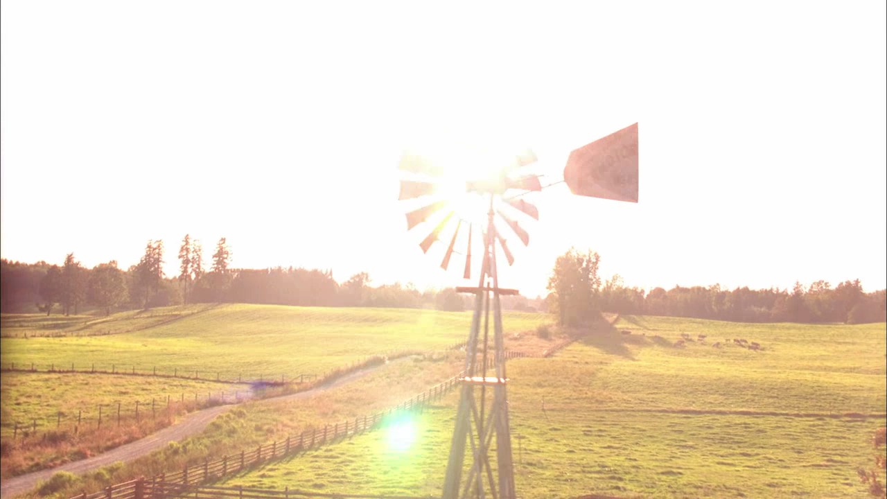 613Smallville0220.jpg