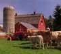 617Smallville0938.jpg