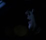 618Smallville0060.jpg