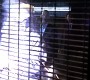 619Smallville0032.jpg