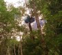 701Smallville0032.jpg