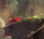 701Smallville0042.jpg