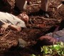 702Smallville0220.jpg