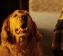 703Smallville0127.jpg