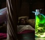 704Smallville0283.jpg