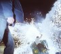 704Smallville0590.jpg