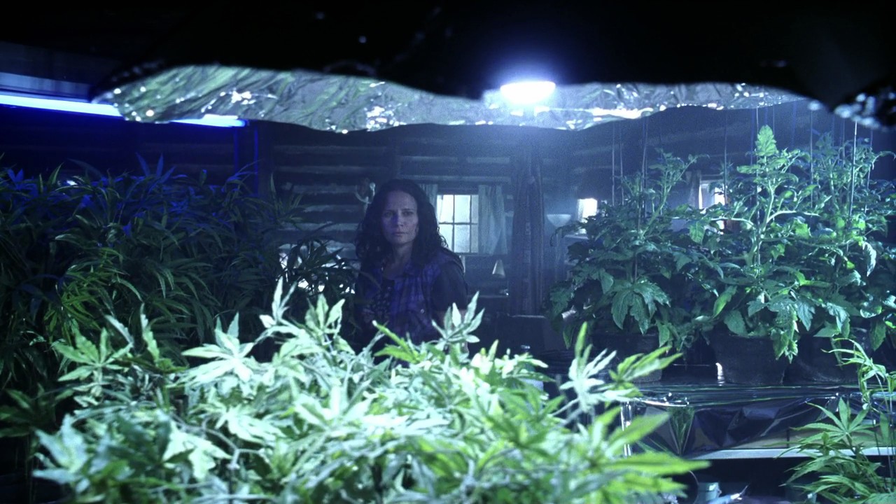 705Smallville0304.jpg