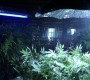 705Smallville0303.jpg
