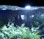 705Smallville0304.jpg