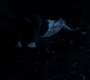 705Smallville0668.jpg