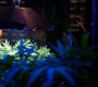 705Smallville0752.jpg