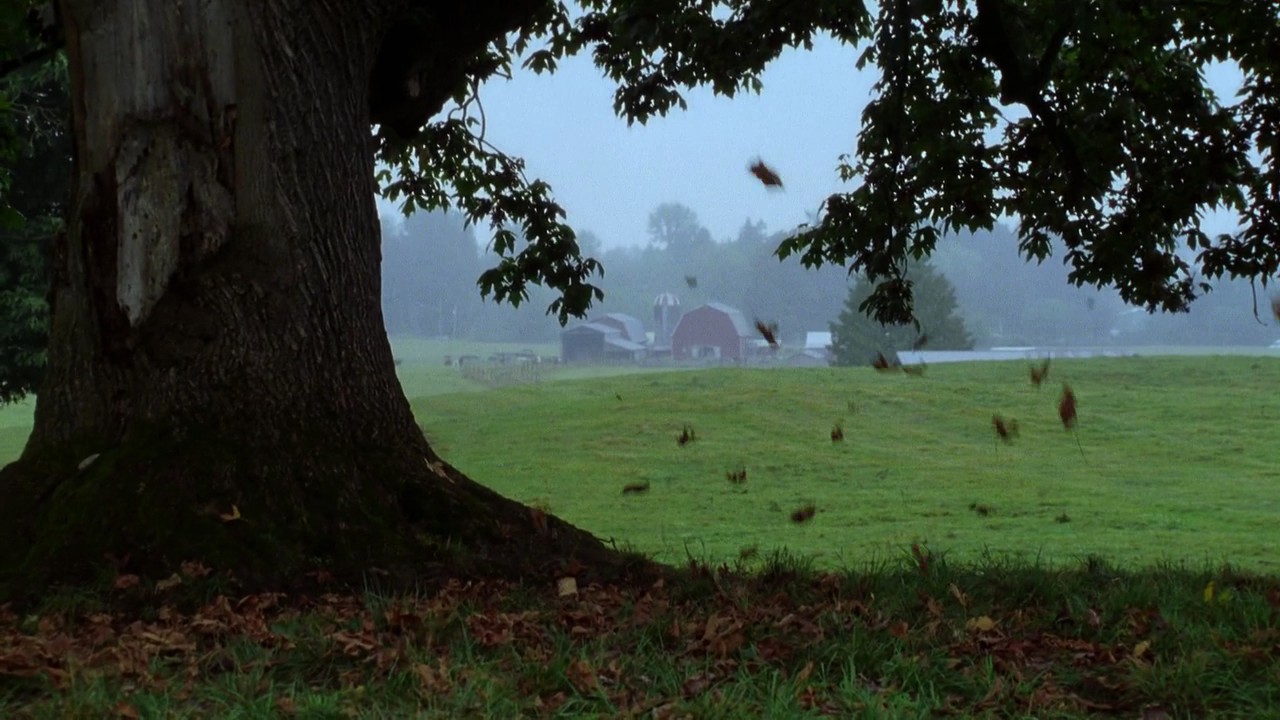 707Smallville0140.jpg