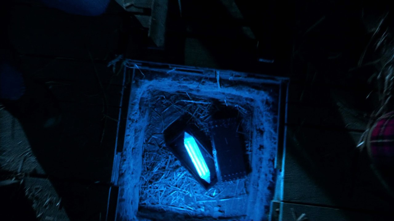 708Smallville0071.jpg