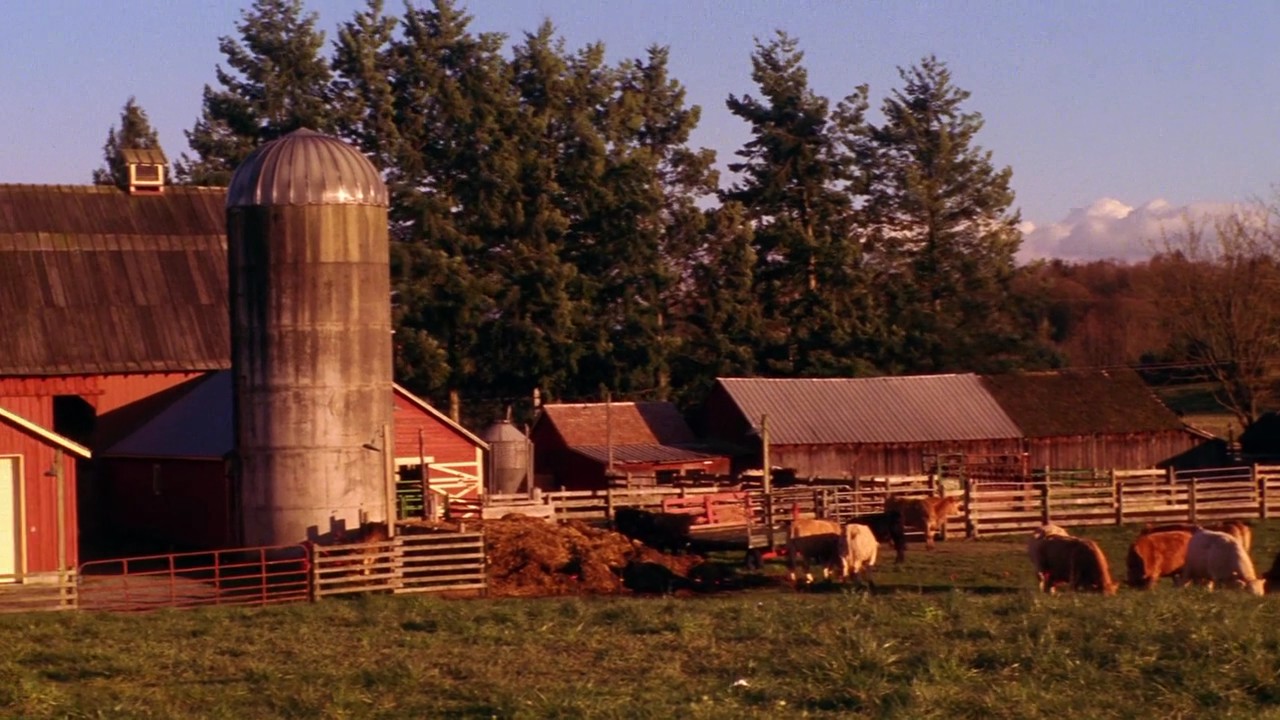 708Smallville0301.jpg