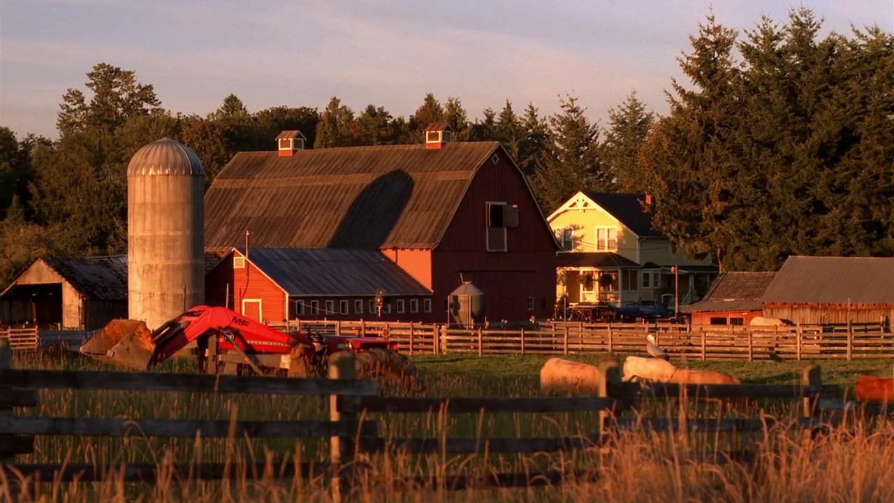 708Smallville1047.jpg