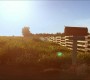 708Smallville0143.jpg
